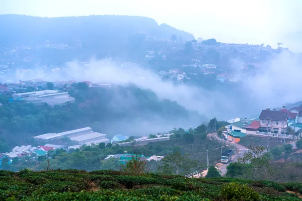 Vietnam 'daki Da Lat dağlarında sisle kaplı bir çay tepesi vadisinin altında küçük bir kasaba. Burası tüm ülkeye büyük miktarda çay sağlıyor.