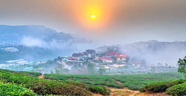 Vietnam Lat Şehrinde Güneş Doğarken Gökyüzünde Bir Çay Tepesi Vadisinde — Stok fotoğraf