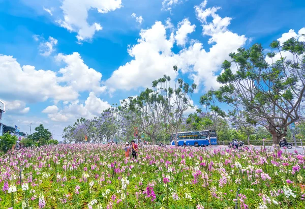 Lat Vietnam April 2Nd 2021 Foxglove Flowers Blossoming Garden City — Stock Photo, Image