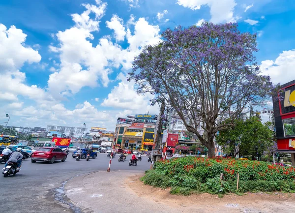 Lat Βιετνάμ Απριλίου 2021 Ανθισμένα Δέντρα Jacaranda Στη Γωνία Του — Φωτογραφία Αρχείου