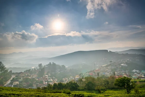 Afternoon Scene Valley Tea Hills Steppe Region Vietnam Place Provides — Stok fotoğraf