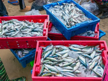 Sea fish after the catch sold in the seafood market is a nutritious high protein foods to benefit human health