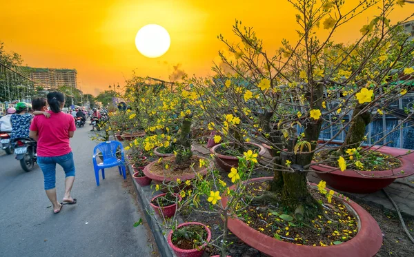 Місто Мін Єтнам Лютого 2021 Бустл Місцевих Квітів Сонячному Небі — стокове фото