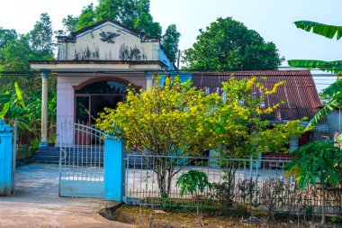 Kayısı ağacı, bir bahar sabahı evin önünde çiçek açar. Bu, Vietnam halkının kırsal kesimdeki Ay Yeni Yılı 'nı simgeleyen bir çiçek.