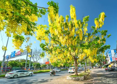 Ho Chi Minh şehri, Vietnam, 27 Şubat 2021: Cassia fistül çiçeği ağacıyla bulvarda trafik yoğun yol kenarına dikilmiş şehir manzarası Ho Chi Minh şehri, Vietnam