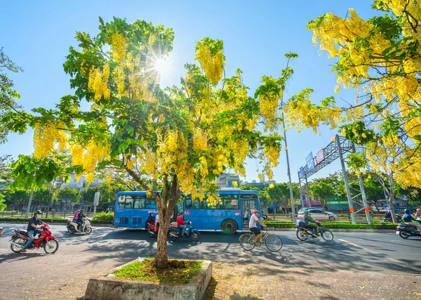 ベトナムホーチミン2021年2月27日 キャシャフィストラの花の木が植えられた大通りで忙しい交通は都市風景を成長させる街を飾るベトナムのホーチミン市 — ストック写真