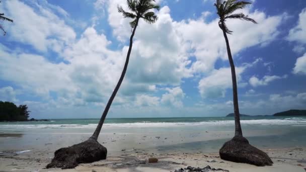 Tropický Přímořský Plášť Slunečného Odpoledne Šikmými Kokosovými Stromy Čistým Bílým — Stock video