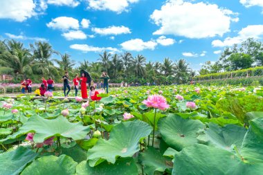 Tien Giang, Vietnam - 25 Şubat 2018: Nilüfer tarlaları, turistleri Batı Vietnam 'ın barışçıl kırsalında ziyaret etmeye ve fotoğraf çekmeye çeken ekolojik turizm alanında çiçek açtı