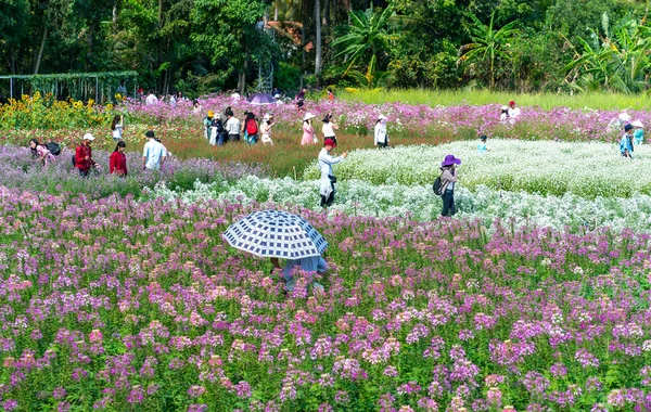 Tien Giang Vietnam Février 2018 Écologie Des Fleurs Jardin Avec — Photo