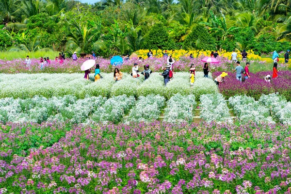 Tien Giang Vietnam Února 2018 Zahradní Květiny Ekologie Mnoha Květy — Stock fotografie