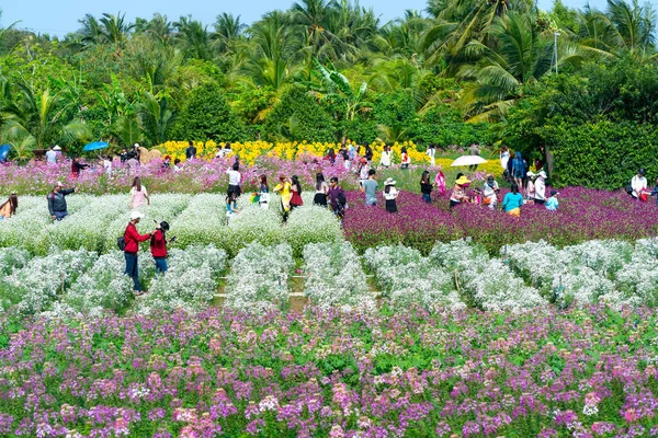 Tien Giang Vietnam Februari 2018 Trädgård Blommor Ekologi Med Många — Stockfoto