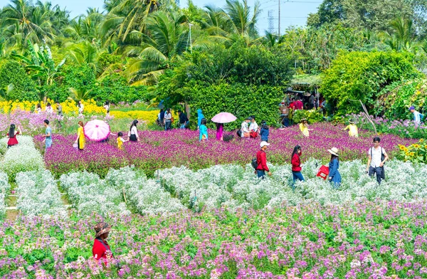 ティエンザン ベトナム 2018 より多くのツーリストを引き付けるためにカラフルな花がたくさんの庭花生態学写真旅行ベトナムのティエンザン 田園地帯で旧正月の朝 — ストック写真