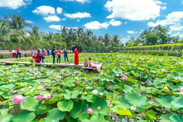 Tien Giang Vietnam Febrero 2018 Los Campos Loto Florecen Zona —  Fotos de Stock