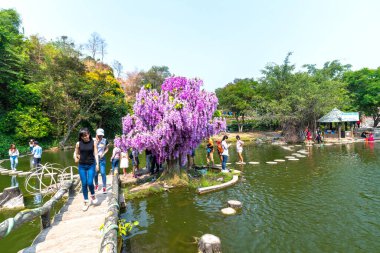 Dong Nai, Vietnam - 17 Mart 2019: Süslü eko-bahçe manzarası turistleri Dong Nai, Vietnam 'ın banliyölerinde rahatlatıcı bir hafta sonu geçirmek için cezbetti.