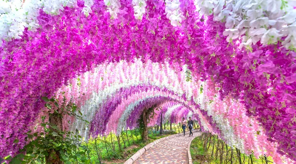 Dong Nai Vietnã Março 2019 Portão Flores Brilhantes Wisteria Rodeia — Fotografia de Stock