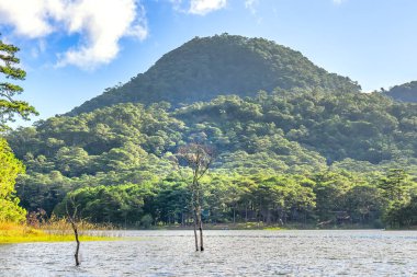 Tayland 'da mavi gökyüzü arkaplanlı güzel göl manzarası