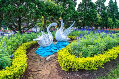 Bahçede Güzel Çiçekler