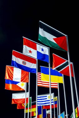 Dünyanın ulusal bayrakları