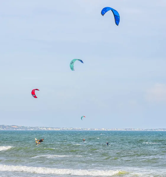 Sahilde denizde sörf yapan uçurtma.