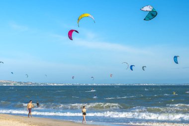 Okyanus sahilinde uçurtma ve uçurtma.