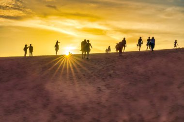 Sahilde bir grup insan.