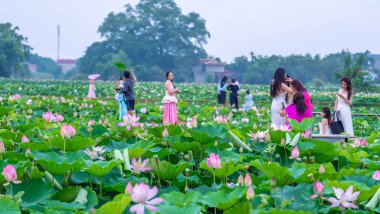 Parktaki güzel Asyalı kız.