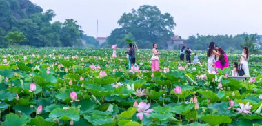 Bahçedeki güzel çiçekler