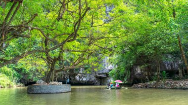 Nehrin güzel manzarası Yeşil ağaçlar ve bitkilerle