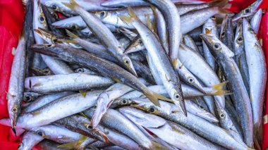 Tayland 'daki markette buzda taze balık.