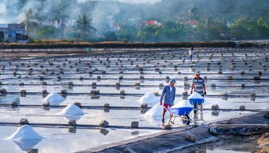 Balıkçı pirinç üzerinde çalışıyor.