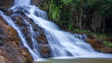 Ormanda şelale ve güzel uzun pozlama