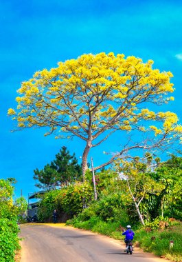 Parkın güzel manzarası