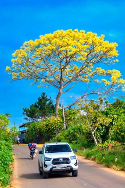 Bahçede açan beyaz çiçek