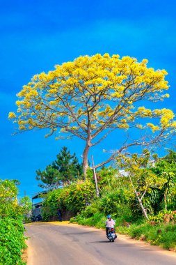 İsrail Eyaleti Adası 'nın güzel manzarası.