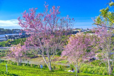 Dünyanın en güzel simgesinin başkentinin güzel manzarası.