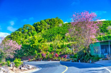 Şehrin güzel manzarası