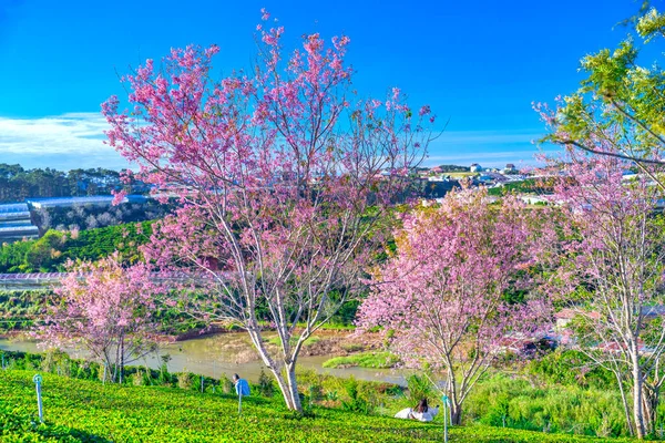 Dünyanın en güzel simgesinin başkentinin güzel manzarası.