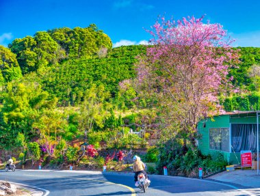 Şehrin güzel manzarası