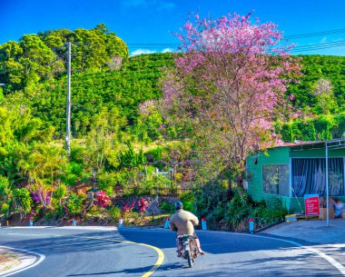 Rio de Janeiro şehrine giden yol.