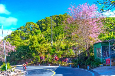 Parkın güzel manzarası