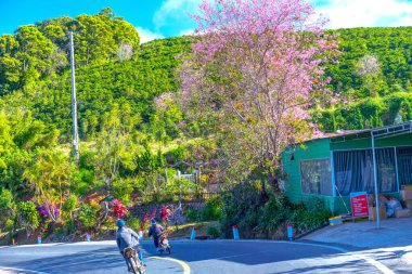 Dağların güzel manzarası