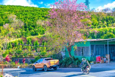 Şehrin güzel manzarası