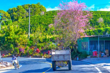 Barselona şehrinin güzel manzarası