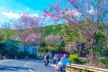 Barselona şehrinin manzarası