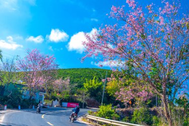 Şehir parkının güzel manzarası