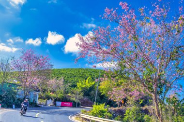 Parkın güzel manzarası