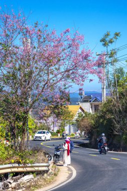 Şehrin güzel manzarası