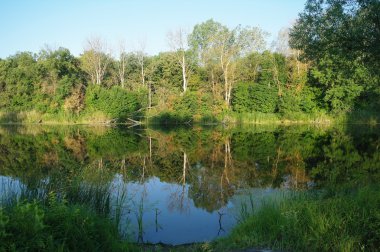 Nehir manzara ve ahşap