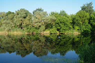 Nehir manzara ve ahşap