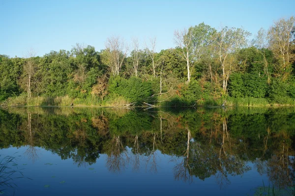 Nehir manzara ve ahşap